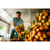 Agriculture & Food